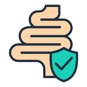 Icon representing a healthy digestive system